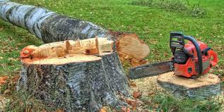  Phelan, CA Tree Services Pros